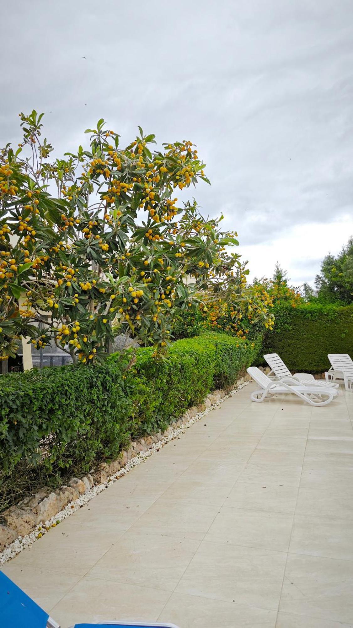 Byzantium Gardens - Green Pafos Zewnętrze zdjęcie